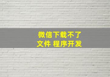 微信下载不了文件 程序开发